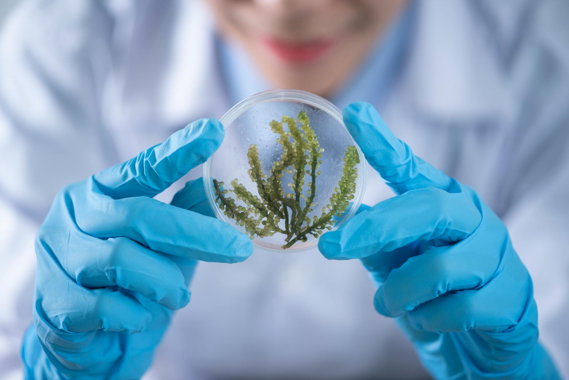 Client Success – How Outsourcing Cybersecurity & IT Accelerated Growth for this BioTech Manufacturer